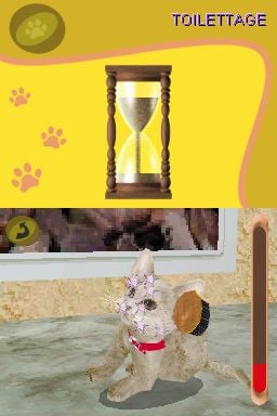 media/pim/cats-academy-4005209093972_3.jpg