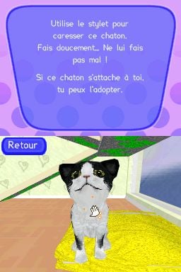 media/pim/catz-2-fr-ds-3307210260437_5.jpg