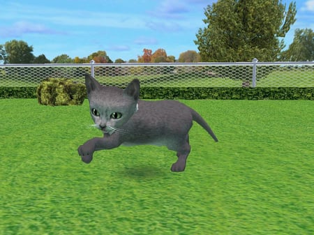 media/pim/catz-2-pc-3307210260789_6.jpg