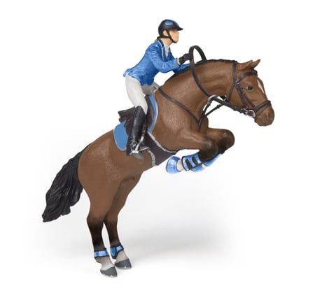 media/pim/cheval-de-concours-et-cavalier-3465000515607_6.jpg