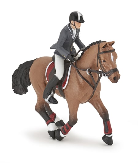 media/pim/cheval-de-saut-d-obstacle-et-cavalier-3465000515614_7.jpg