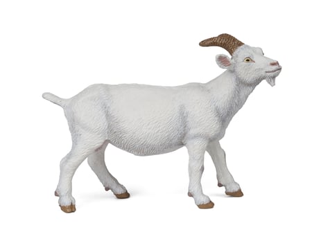 media/pim/chevre-blanche-chevre-blanche-3465000511449_0.jpg