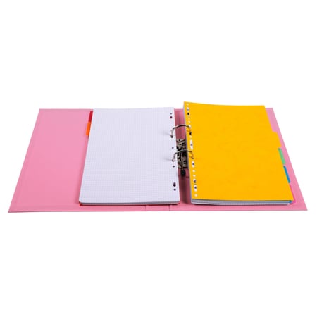media/pim/classeur-pvc-levier-d50-pastel-classeur-pvc-levier-d50-pastel-rose-3130631535552_0.jpg
