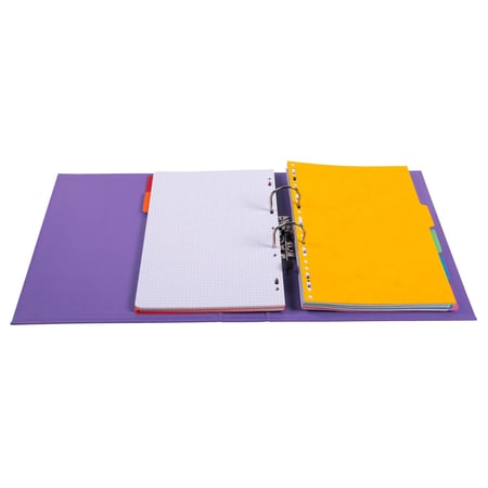 media/pim/classeur-pvc-levier-d70-violin-classeur-pvc-levier-d70-violine-pastel-3130630537571_1.jpg