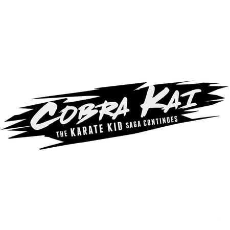 media/pim/cobra-kai-5016488136532_13.jpg