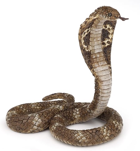 media/pim/cobra-royal-3465000501648_0.jpg