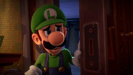 media/pim/code-a-telecharger-luigi-s-mansion-3-0045496403867_3.jpg