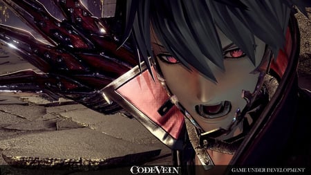 media/pim/code-vein-3391891995948_5.jpg