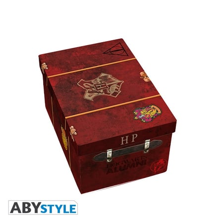 media/pim/coffret-cadeau-pack-harry-potter-mug-3d-hedwige-porte-cles-vif-d-or-pin-s-3665361035527_0.jpg