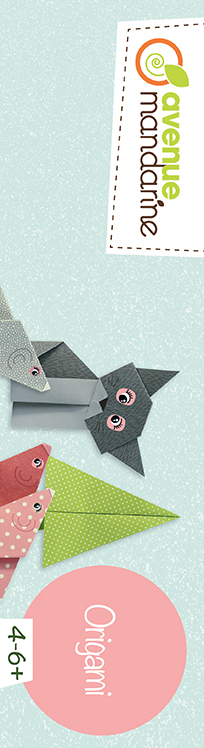 media/pim/coffret-origami-initiation-3609510551766_7.jpg
