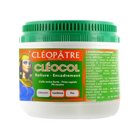 media/pim/colle-vinylique-cleocol-500g-colle-vinylique-cleocol-500g-3134727045000_0.jpg