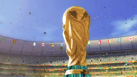 media/pim/coupe-du-monde-fifa-2010-5030931088506_11.jpg