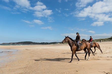 media/pim/coups-de-coeur-en-bretagne-3701066717204_3.jpg