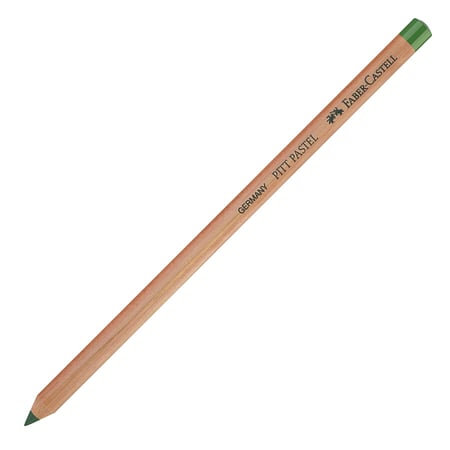 media/pim/crayon-pastel-pitt-vert-sapin-crayon-pastel-pitt-vert-sapin-267-4005401121671_0.jpg