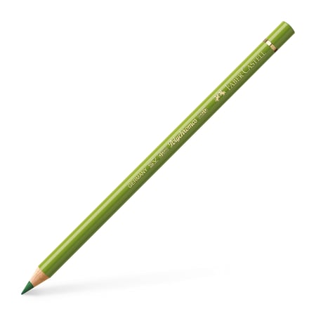 media/pim/crayon-polychromos-168-cra-polychromos-terre-verte-jaunatre-168-4005401101680_0.jpg