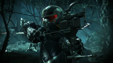 media/pim/crysis-3-5030931109591_11.jpg