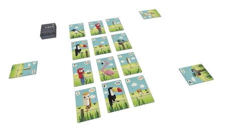 media/pim/cubirds-catch-up-games-3760273010058_5.jpg