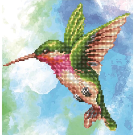 media/pim/d-dotz-le-colibri-4897073244655_0.jpg