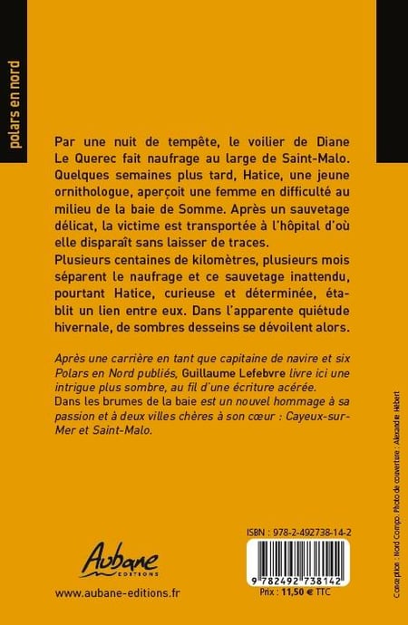 media/pim/dans-les-brumes-de-la-baie-9782492738142_1.jpg