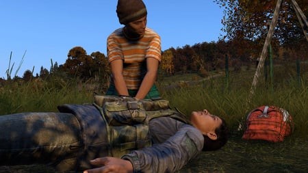 media/pim/dayz-5056208804976_3.jpg