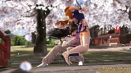 media/pim/dead-or-alive-4-xbox-360-0882224079846_5.jpg