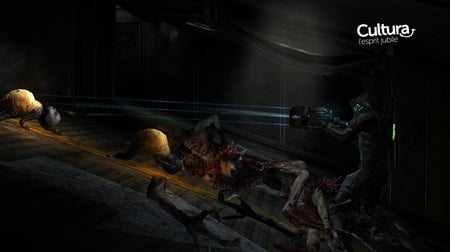 media/pim/dead-space-2-3700664507330_3.jpg