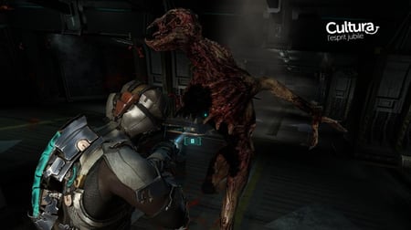 media/pim/dead-space-2-3700664507330_6.jpg