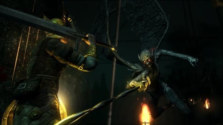media/pim/demon-s-souls-version-standard-3546430149393_11.jpg