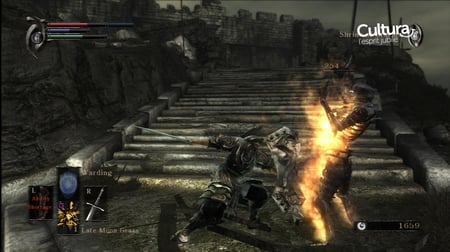 media/pim/demon-s-souls-version-standard-3546430149393_5.jpg