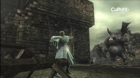 media/pim/demon-s-souls-version-standard-3546430149393_7.jpg
