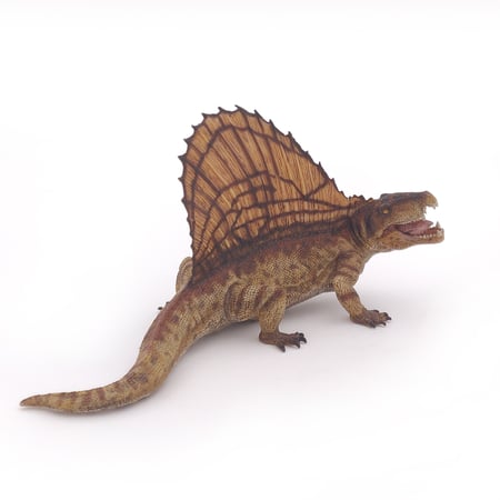 media/pim/dimetrodon-dimetrodon-3465000550332_0.jpg