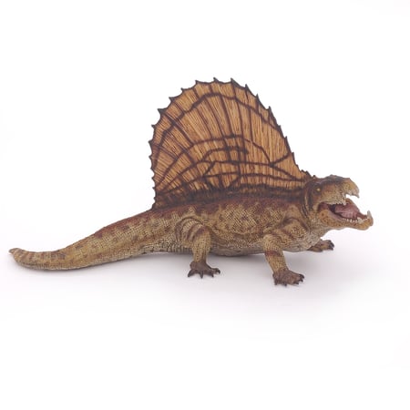 media/pim/dimetrodon-dimetrodon-3465000550332_6.jpg