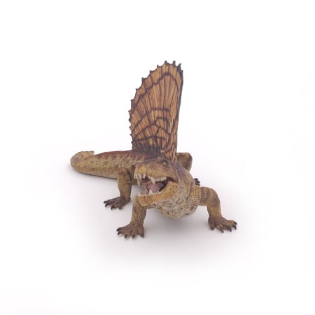 media/pim/dimetrodon-dimetrodon-3465000550332_7.jpg