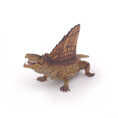 media/pim/dimetrodon-dimetrodon-3465000550332_8.jpg