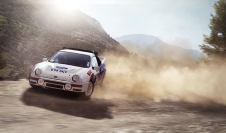 media/pim/dirt-rally-4020628836504_8.jpg