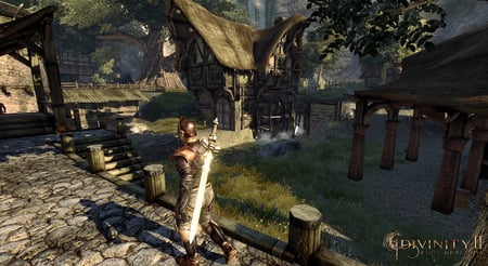 media/pim/divinity-ii-ego-draconis-4017244023524_4.jpg