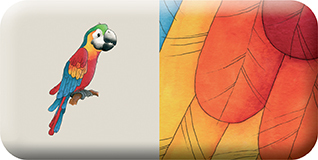 media/pim/domino-animaux-et-textures-3065500427648_14.jpg