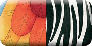 media/pim/domino-animaux-et-textures-3065500427648_15.jpg