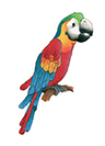 media/pim/domino-animaux-et-textures-3065500427648_18.jpg