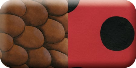 media/pim/domino-animaux-et-textures-3065500427648_20.jpg