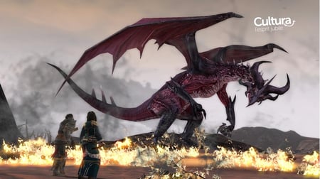 media/pim/dragon-age-2-5030931092589_5.jpg