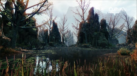 media/pim/dragon-age-inquistion-5030940112360_5.jpg