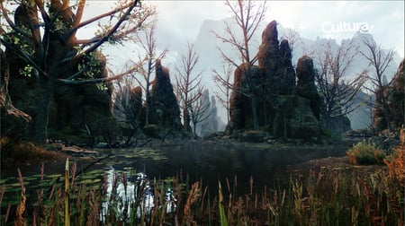 media/pim/dragon-age-inquistion-5030948111426_5.jpg