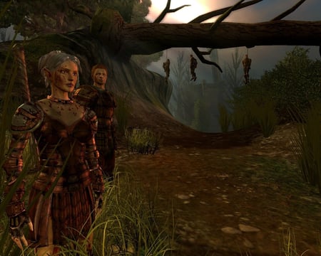 media/pim/dragon-age-origins-5030931078033_10.jpg