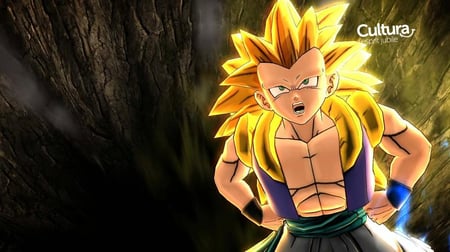 media/pim/dragon-ball-z-battle-of-z-3391891975926_8.jpg