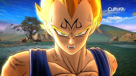media/pim/dragon-ball-z-battle-of-z-3391891975926_9.jpg