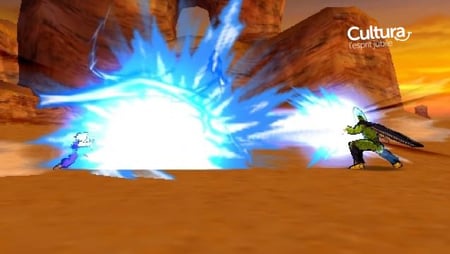 media/pim/dragon-ball-z-shin-budokai-3700577003004_3.jpg