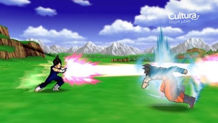 media/pim/dragon-ball-z-shin-budokai-3700577003004_7.jpg