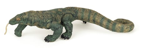 media/pim/dragon-de-komodo-dragon-de-komodo-3465000501037_0.jpg