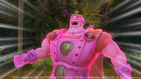 media/pim/dragon-quest-heroes-5021290069343_5.jpg
